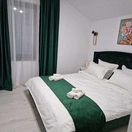 Gold Tag Apartament ティミショアラ エクステリア 写真