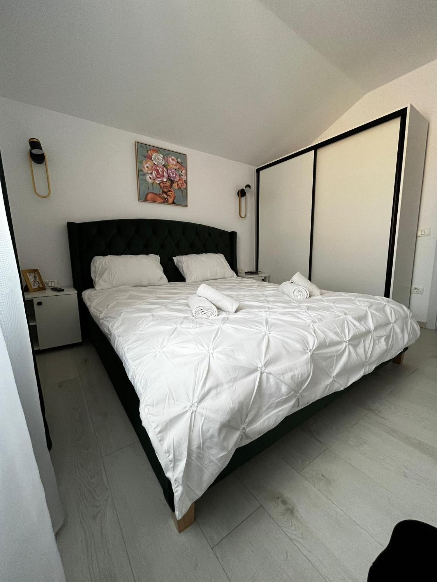 Gold Tag Apartament ティミショアラ エクステリア 写真